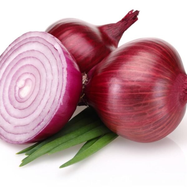 Onion Egypt (20kg)